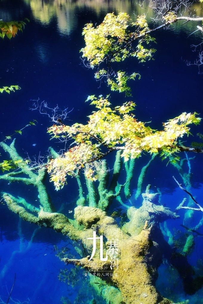 VIVIDSTORM推出独特的全隐藏式电动激光电视柜